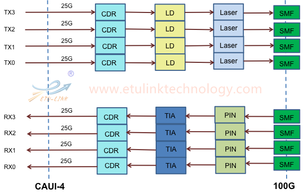  100G PSM4 vs 100G CWDM4 óptico Transceptor 