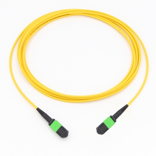 12 FiberMPO(Female)-MPO(Female) Fiber Optic Cable