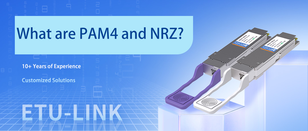¿Qué son PAM4 y NRZ?