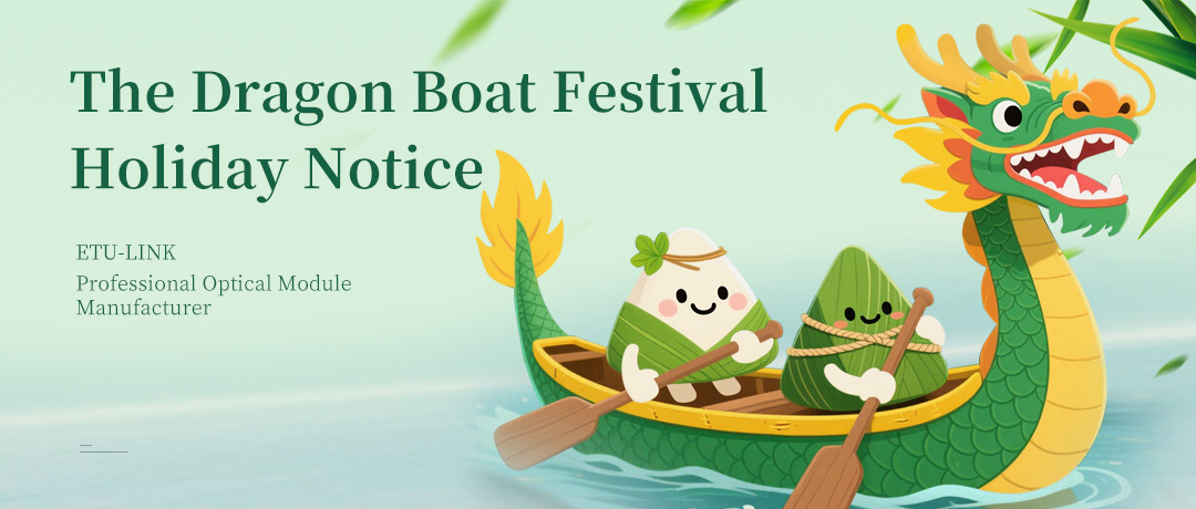 Dragon Boat Festival Holiday - Zongzi Enjoyment